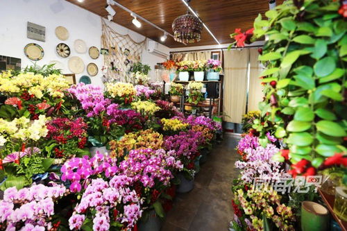  广宁南街花店，精选花卉的宝藏之地，广宁南街花店，精选花卉的宝藏之地，为您的美丽生活增添色彩--第1张