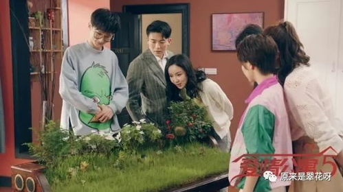  短剧今日宜婚全集观看，甜蜜爱情，轻松幽默的喜剧佳作--第1张