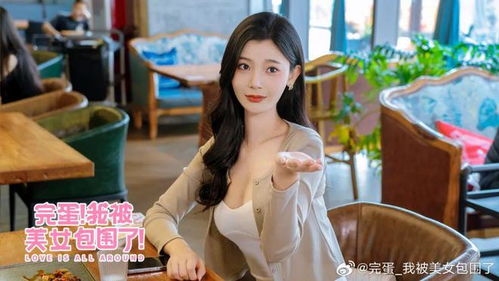  离婚后我被美女包围了全集观看--第1张