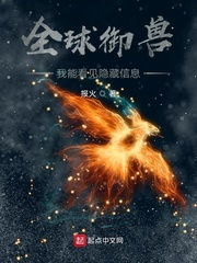  短剧华夏龙组全集观看--第1张