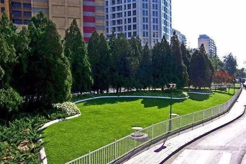  景观苗木供应市场分析--第1张