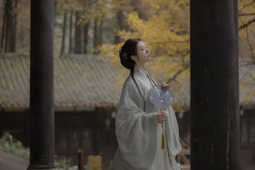  短剧庄生梦蝶恐怖全集观看--第1张