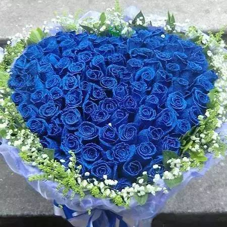  蓝色妖姬的花语，浪漫、永恒的爱情与高贵品质的象征--第1张