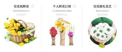  鲜花店去哪里进货渠道——揭秘鲜花供应链的秘密--第1张