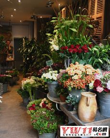  鲜花店名字大全时尚大气，时尚花语鲜花店，为生活增添色彩--第1张