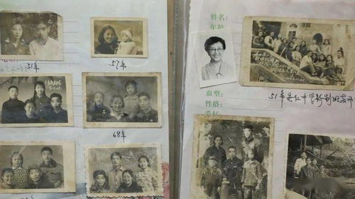  短剧成仙在即，师傅拿出百封婚书全集观看--第1张
