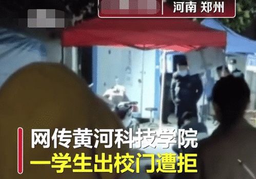  短剧我的保镖很能打全集观看--第1张