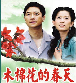  木棉花的春天——女主的美丽与坚韧，木棉花的春天，美丽与坚韧的女主角--第1张