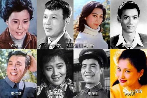  短剧离婚后前夫他追疯了之今夜星光璀璨苏小妹全集观看--第1张