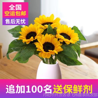  昆明鲜花基地直发，品质保证，新鲜到家--第1张