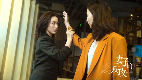  短剧妻子的绝地反攻全集观看，妻子绝地反攻大结局，胜利属于勇敢的妻子--第1张
