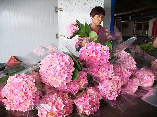  鲜花代运营品牌，让你的鲜花生意更上一层楼！，鲜花代运营品牌，轻松管理你的鲜花生意--第1张