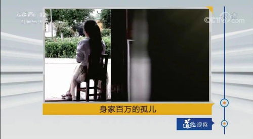  短剧我和七个女神流落荒岛全集观看，荒岛求生，我和七个女神--第1张
