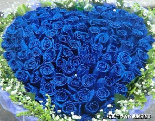  蓝色妖姬，干花还是鲜花？--第1张
