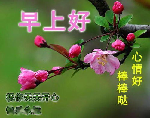  简短的鲜花祝福语10字--第1张