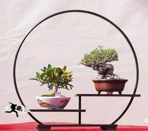  全球花木网价格，揭示市场动态与未来趋势--第1张