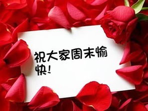  情人节当天玫瑰花多少钱，一份爱的告白指南--第1张
