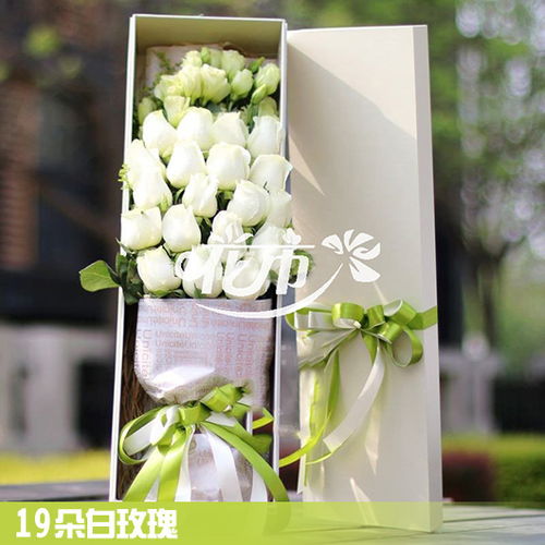  9朵白玫瑰的含义，9朵白玫瑰，纯洁与忠诚的爱情象征--第1张
