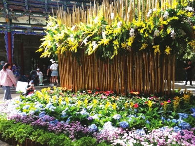  西安东郊花卉市场，绿色生活的艺术与魅力--第1张