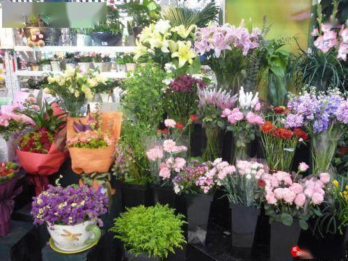  成都附近的花店，精选花卉选择与浪漫体验，成都附近的花店，精选花卉与浪漫体验之旅--第1张