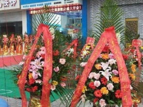  附近花篮店电话--第1张