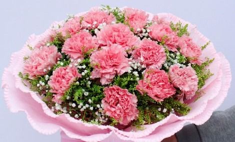  15朵康乃馨的独特寓意--第1张