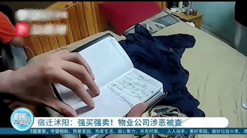  短剧震惊网购买到绝世神章全集观看--第1张