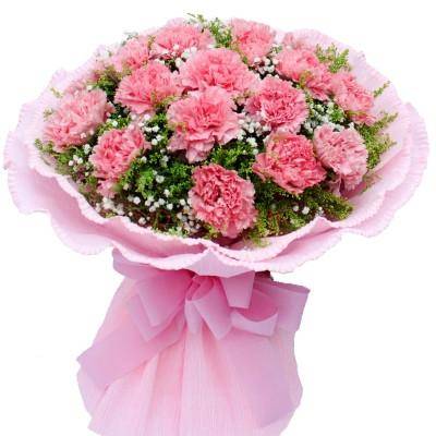  康乃馨——女性之花，象征、意义与情感，女性之花，象征与情感之美的奥秘--第1张