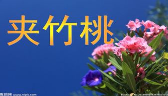  夹竹桃课文--第1张