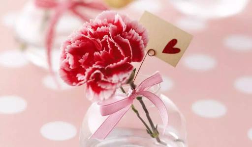  什么花的花语是爱父亲，爱父亲的花语，石斛兰、向日葵、康乃馨、百合花等。--第1张