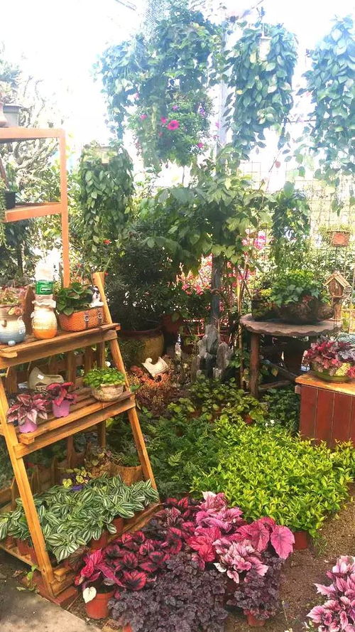 深圳龙岗区花店送货上门服务，深圳龙岗区花店提供送货上门服务，让您的鲜花更贴心--第1张