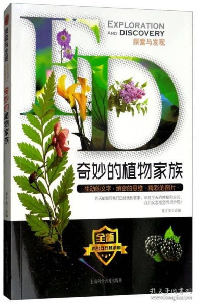  探索植物传播种子的奇妙世界，探索植物传播种子的奇妙世界，种子传播的奥秘与生态意义--第1张