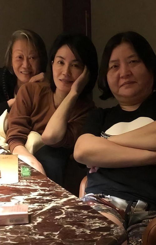  短剧高不可攀的她全集观看，短剧高不可攀的她全集在线观看，爱情与梦想的较量--第1张