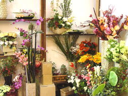  温州原野鲜花店，地址、特色与推荐鲜花--第1张