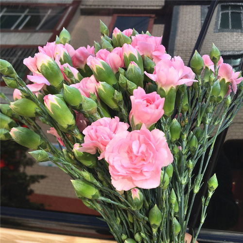  康乃馨插花图片，康乃馨插花图片，不同风格的花艺展示--第1张