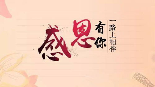  送老师的花图片，表达敬意与感激之情--第1张