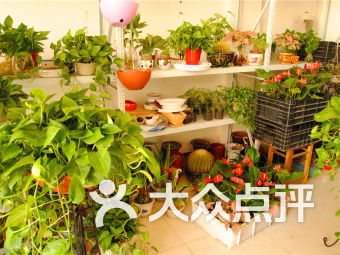  有售后服务的线上花店平台——花之语，有售后服务的线上花店平台——花之语，提供优质花卉配送服务--第1张