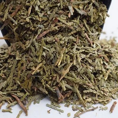 侧柏叶的功效与主治--第1张
