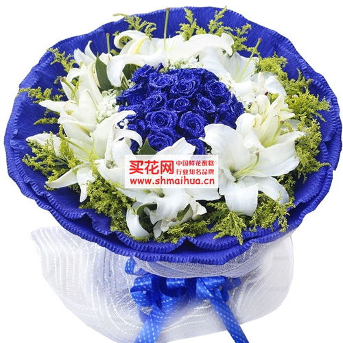  蓝色妖姬花代表啥--第1张