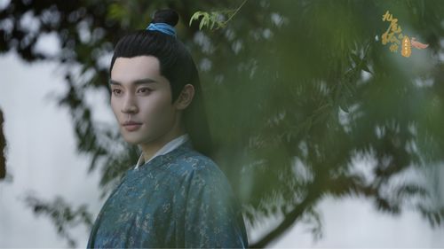  短剧我真不是修仙大佬，仙侠剧全集观看--第1张