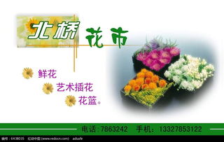  花市网官网下载--第1张