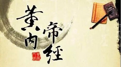  短剧护国天医全集观看——揭秘传统中医的智慧与魅力--第1张