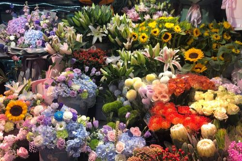  鲜花市场的奥秘，进价与卖价的双重挑战，鲜花市场的进价与卖价双重挑战，揭示鲜花市场的奥秘--第1张