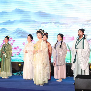  短剧踏雪全集，赵慧楠的精彩演绎与全集观看指南--第1张