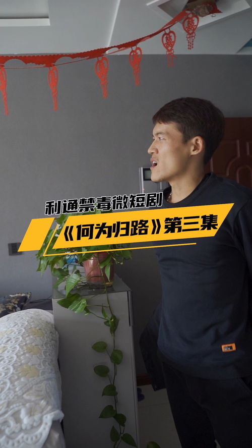  短剧归路全集观看--第1张