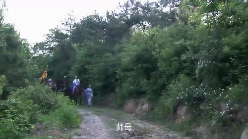  短剧师娘下山全集观看--第1张