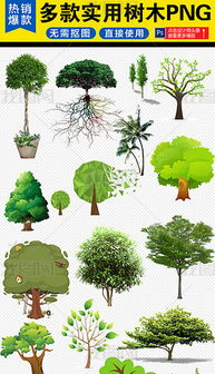  花草树木图片大全，花草树木图片大全，四季美景，自然之美--第1张