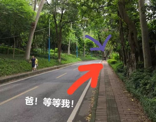 花市文学网站——一个连接花市与文学的桥梁--第1张