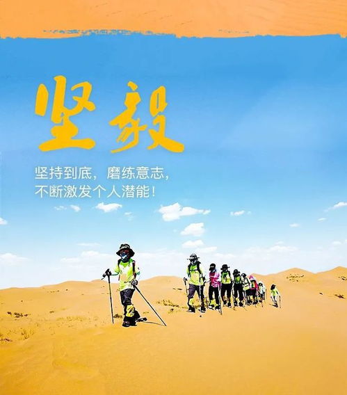  短剧乘风破浪的婚姻全集观看，婚姻中的挑战与成长，婚姻中的挑战与成长，短剧乘风破浪的婚姻全集观看--第1张