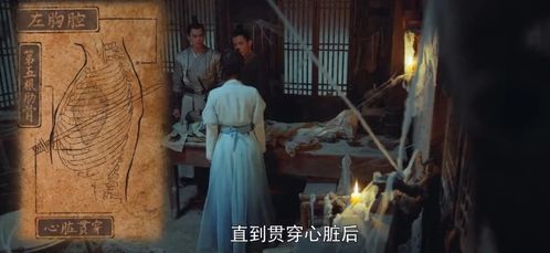  短剧镇国枭婿全集观看，一部引人入胜的古代短剧--第1张